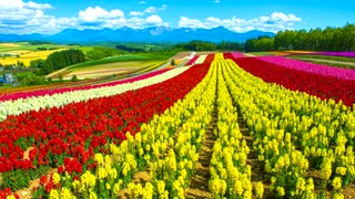 【結月ゆかり】無限のシンフォニー【オリジナル】