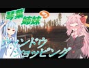 【EFT/ボイスロイド】#38　ピクニック&ウィンドウショッピング！【タルコフ/琴葉茜/葵】