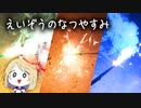 夏の終わりに花火したよ【えいぞうのなつやすみ】