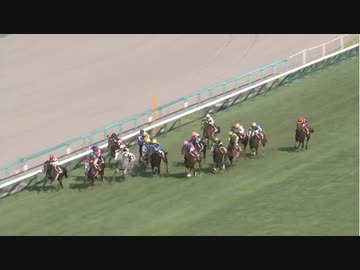 【逃げ切り集】アクティブミノル 2015 セントウルステークス(G2)