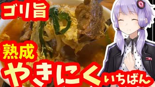 【ゆかりさんが脂っこいもの食べるだけ】焼肉たべるよ！【熟成焼肉いちばん】【おいしい】