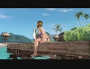 【DoaX3】グラビアパラダイスランダム　090908