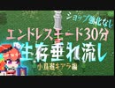 【HoloCure】小鳥遊キアラ　ショップ強化なしでエンドレスモード30分生存【ホロキュア】