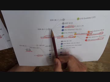 どうしても打ちたい人はアメリカに行ってBA.5ワクチンを打った方が100倍まし