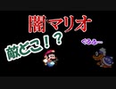 【闇マリオ】先が見えないけどマリオなら楽勝でしょ part2