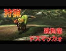 【実況】ぼっちハンターが行く！モンスターハンターXX 第2回