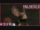 【FF12tZA】チョコボって臭いの？　賛否分かれる神ゲーム実況  #25前編