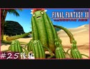 【FF12tZA】サボテンの母、ろくでなし息子を探して　賛否分かれる神ゲーム実況  #25後編