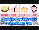 【ゆっくり解説】ニキビ？ニキビじゃない？肌にできやすいポツポツ5種を解説！【マシュマロ】
