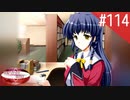 【実況】#114:何処へ行くの、あの日 ～光る明日へ…～ 初見実況プレイ【Final Season】