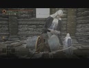 【ELDEN RING】発売日からトロコンするまで【実況】 part134