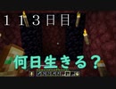 【１１３日目の７回目】ワンブロックの世界をハードコアで生き残れ！