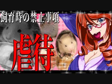ハムスター飼育時の禁止事項「虐待」。