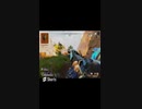 ワンパンチャンピオン！ APEX ソロランクマ(動画短いです)
