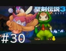 【聖剣伝説3ToM】義賊と王女と王女とひよこの話 30【Steam版】