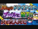 【ゆっくり解説】フォロワー100万人越えの薬品系インスタグラマーの誕生日会で悲劇が…ドライアイス誕生日会事件