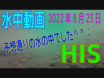 水中動画（2022年8月23日）in HIS