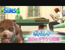 ＃6【シムズ4】ウエディングマップでボトルレターを集める【ゆっくり】