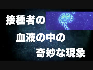 ワクチン接種者の血液の分析結果が深刻【赤血球の凝集、結晶状の異物】