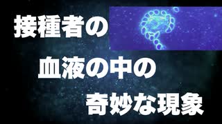 ワクチン接種者の血液の分析結果が深刻【赤血球の凝集、結晶状の異物】