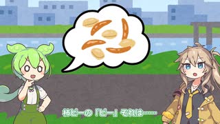 柿ピーの「ピー」の意味を説明するずんだもん
