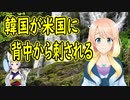 韓国が『米国に背中から刺された』と大騒ぎ【世界の〇〇にゅーす】