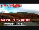 車載動画　ドライブ　鳥海ブルーラインの紅葉　鳥海山　絶景　田舎　4K映像　GoPro撮影