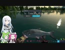 【金策は】ツリアル・七匹目【未だニジマス】