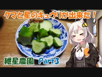 紲星農園「キュウリ編」Part3