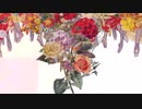UNI - 축제의 날(祝祭の日) / attwn park