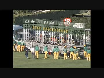 【逃げ切り集】ステキシンスケクン　2006　京成杯オータムハンデ(G3)