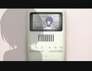 すずきがすずきを見つめてました