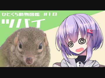 ひとくち動物図鑑　#18　ツパイ　[VOICEROID解説]