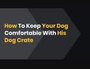 How To Keep Your Dog Comfortable With His Dog Crate