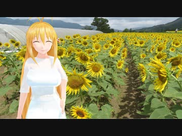 【NM4-02】新弦巻マキと名所探訪 第146話「熊本県・一心行公園西側のひまわり畑」