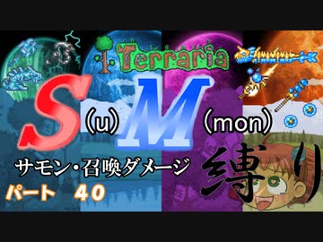 [ゆっくり実況]　S(u)M(mon)縛り　パート４０　[Terraria]