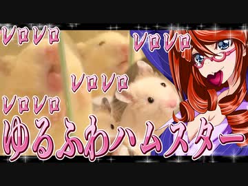 ゆるふわ レロレロ ハムスター。