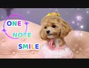 ONE NOTE SMILE / 杉P feat. 星界
