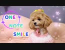 ONE NOTE SMILE / 杉P feat. 星界