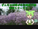 【VOICEVOX劇場】ずんだの妖精が競馬本気予想【紫苑ステークス】