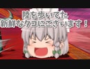 【ゆっくり茶番】紅魔館にて～残念メイドを添えて～