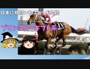 【ゆっくり解説】日本に根付いたヨーロッパのスピード血統　プリンスリーギフト系
