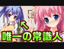 【紳士向け】#73　ツッコミどころ多すぎて収拾がつかない【妹ぱらだいす！】