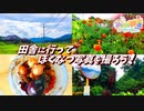 【リアルぼくのなつやすみ】田舎で全力で遊んだぞ！