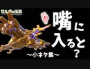 ルッタを極限までぶっ壊してみた･カラッセを詐欺る･メドーの嘴の中など小ネタ集【ブレワイ BotW】裏技 バグ 検証 ゆっくり実況 glitch