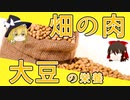 【ゆっくり解説】大豆の栄養について解説！