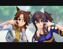 【MMDウマ娘】リコリス・リコイルキック【ヘリパマ】