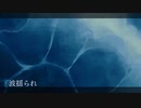 波揺られ/TAT feat.初音ミク