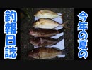 青物が釣りたかった【夏休みの宿題】