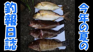 青物が釣りたかった【夏休みの宿題】